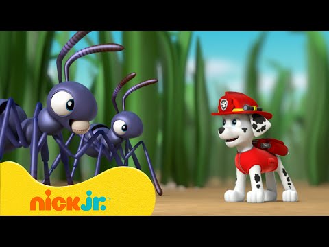 Видео: Щенячий патруль | Щенячий патруль спасает малыша! | Nick Jr. Cyrillic