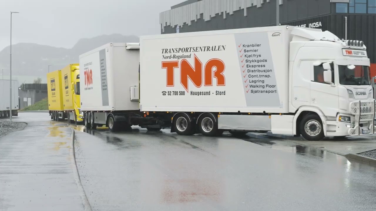 TNR Kortesje Short 4K hight quality