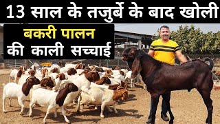 Goat Farming में फेल होने का काला सच | Goat Farming Business Plan | Goat Farming in India by SANDHU AGROFARM 29,461 views 4 weeks ago 13 minutes, 35 seconds