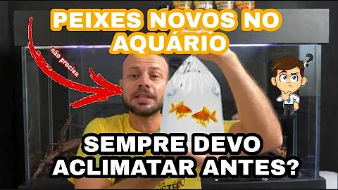 Como aclimatar peixes novos?
