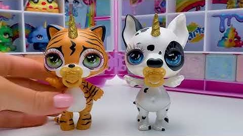 What’s Inside A Super Big Display Case?