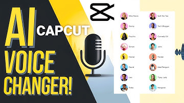The NEW CapCut AI Voice Changer Feature Works Wonders!