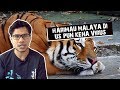 Harimau Malaya di US Pun Kena Virus