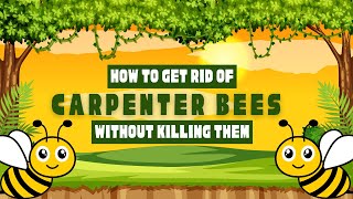How To Get Rid Of Carpenter Bees Without Killing Them