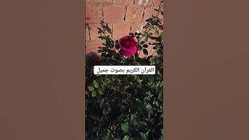 القرآن الكريم بصوت جميل #explore #قرانكريم #قران_كريم #لايك #قران #قرآن #تيك_توك #ارحقلبك