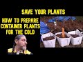 Prepping Your Container Plants For The Cold