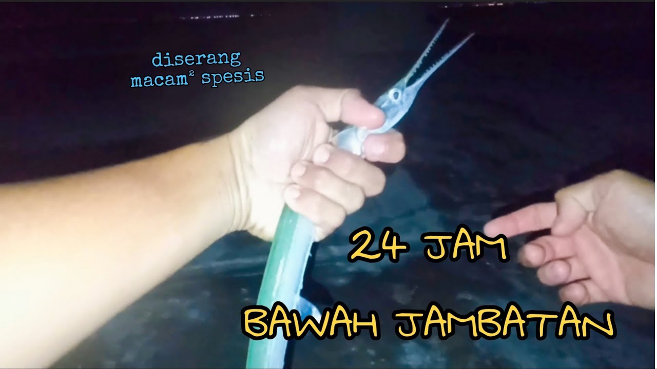 #EP917 Casting Banang 4 Pagi! - mancing bawah jambatan Pulau Pinang
