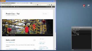 Fresh Css stylesheet editing and auto reloading with Wordpress screenshot 4