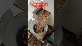 50 60 count peanut #trendig #machine #accidentnews