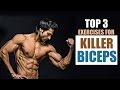 Top 3 Exercises for KILLER BICEPS | Full Explanation with Muscle Anatomy by Guru Mann