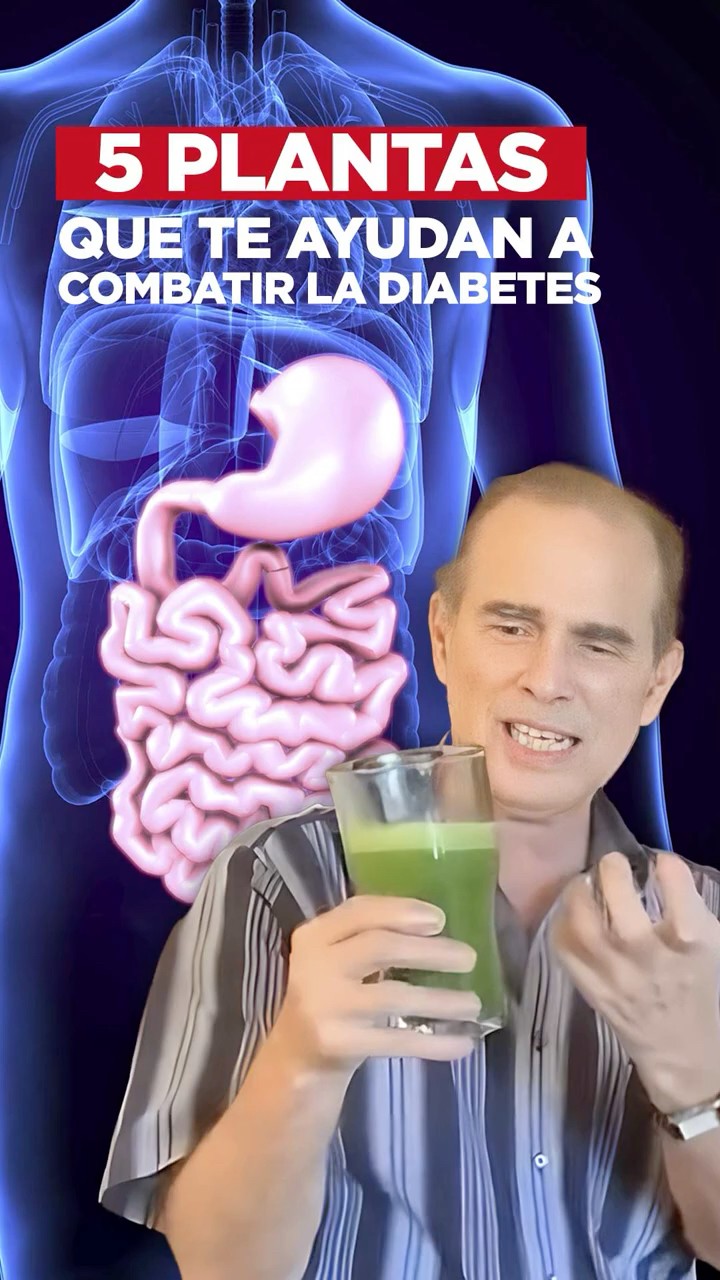 5 plantas que te ayudan a combatir la diabetes