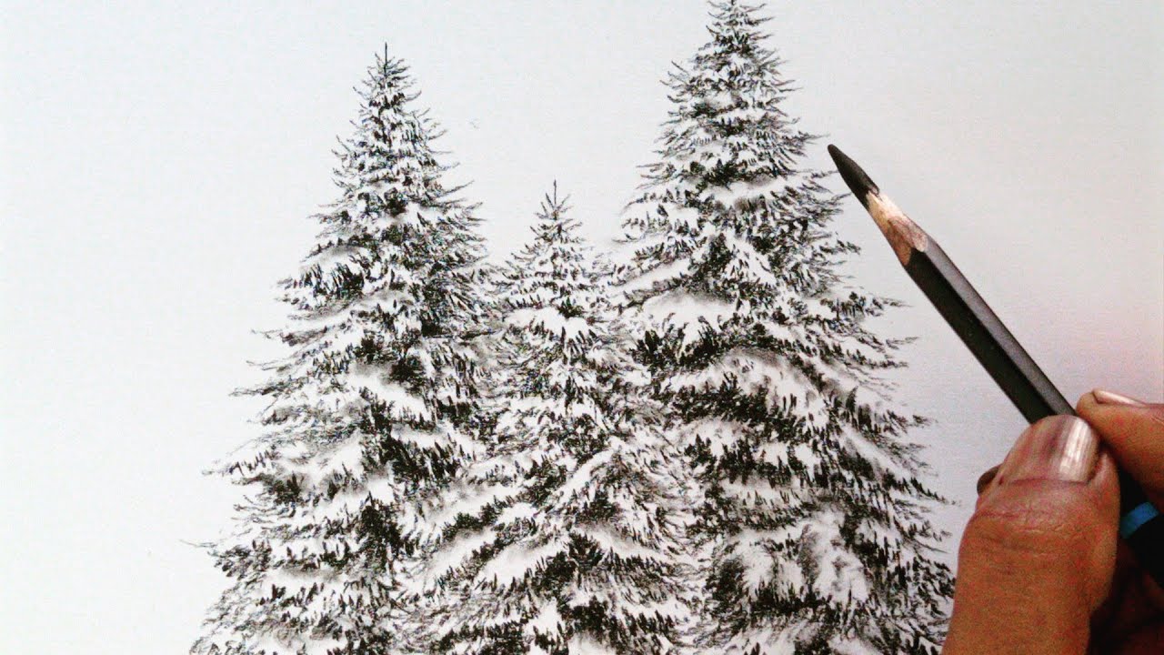 How to Draw Snow on Trees  How to draw snow Snow tree Tree drawings  pencil