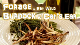 Burdock and Cat’s Ear: How to Identify and Harvest These Edible Wild Plants