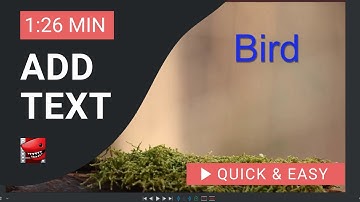 Lightworks Tutorial: How to Add Text in Lightworks