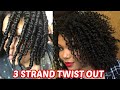 HOW TO: 3 Strand Twist Out on Natural Hair | *DETAILED* One Product Tutorial