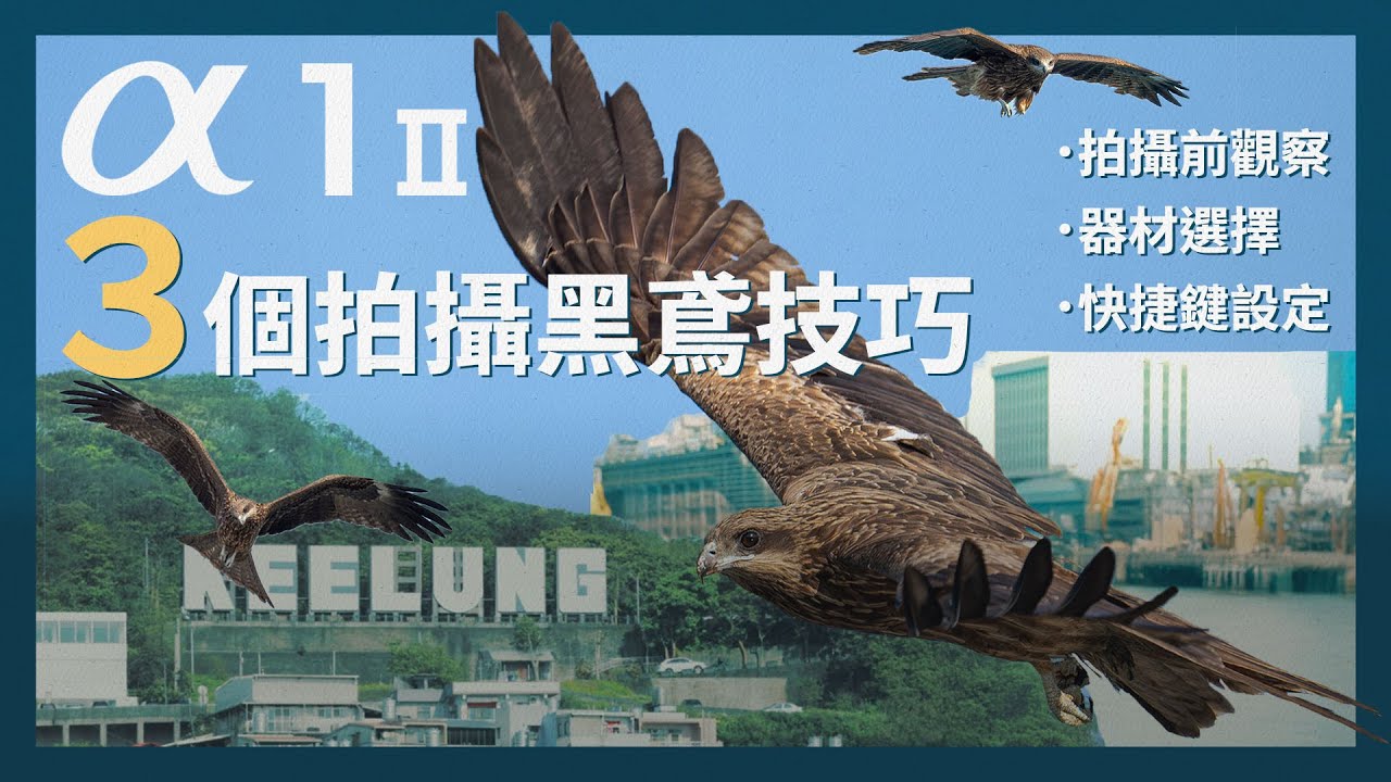 【攝影教學】基隆黑鳶怎麼拍才帥？觀察、器材、設定到實拍一次教會你｜飛羽攝影 拍黑鳶的3個設定 | Alpha1 II + FE 400-800mm F6.3-8 G OSS | Sony 數位教室