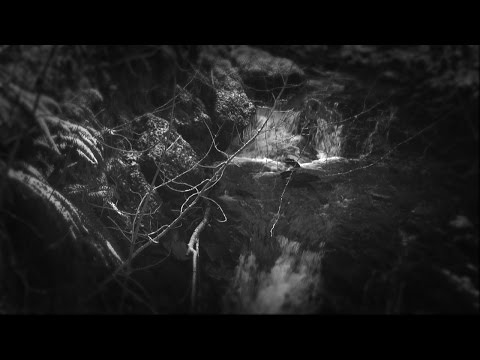 Metamorphose II