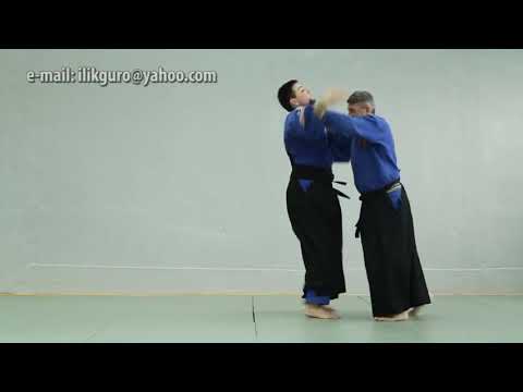 Real aikido Bitola