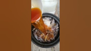 Bữa cơm cá bóng dừa kho tiêu #thiennhienmaunhiem #cooking