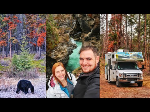 Vídeo: Que árvores existem nas Montanhas Rochosas?