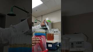 PDA slants are ideal for long-term storage of fungi. #research #labwork #agriculture #plantscience