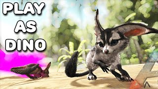 SURVIVING AS A TINY JERBOA | PLAY AS DINO | ARK SURVIVAL EVOLVED