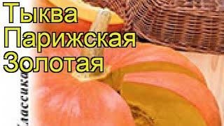 Тыква Парижская Золотая Фото