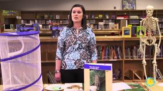 Life Cycle of Butterflies– Lesson 1: Getting Ready for Caterpillars
