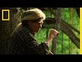 Mosquito Protection Plan | Live Free or Die Mosquito Protection Plan | Live Free or Die