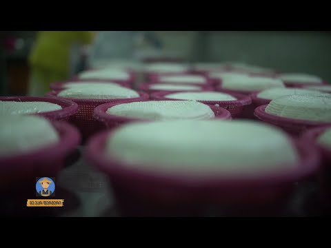 ახალშენის ყველი