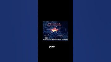 Semantic vs  Episodic Memories Explained!