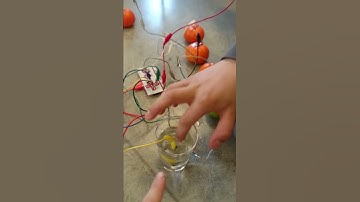 Makey makey clementine and water piano