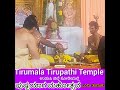 ಕೃಷ್ಣಾಯ,ಗೋವಿಂದಾಯ Tirupathi ಶ್ರೀನಿವಾಸನಿಗೆ ಉಡುಪಿಜಿಲ್ಲೆ ಕೋಡಿಯಲ್ಲಿ ಪುಷ್ಪಯಾಗ ಮಹೋತ್ಸವಕ್ಕೆ ಮುಂಚೆ ಮಂಗಳಾರತಿ
