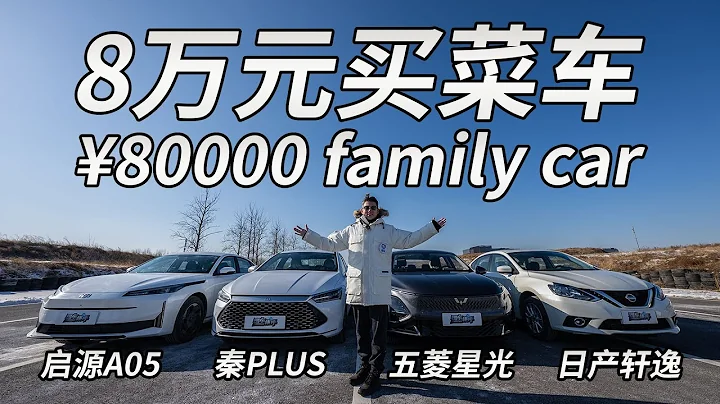 8万元买菜车横评 RMB 80,000 family car review - DayDayNews