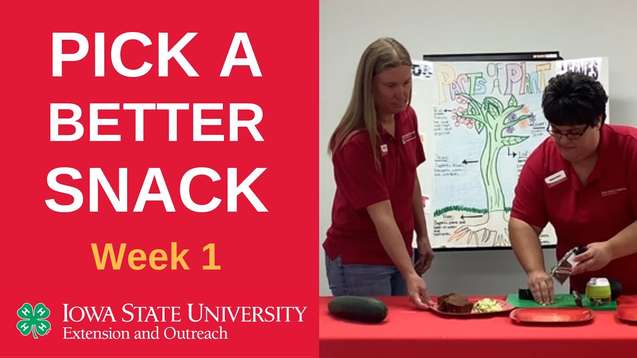 Pick a Better Snack #1 Zucchini & Introduction - YouTube