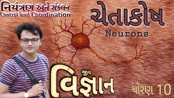 7.2. ચેતાકોષ | નિયંત્રણ અને સંકલન | Science | Biology | Class 10
