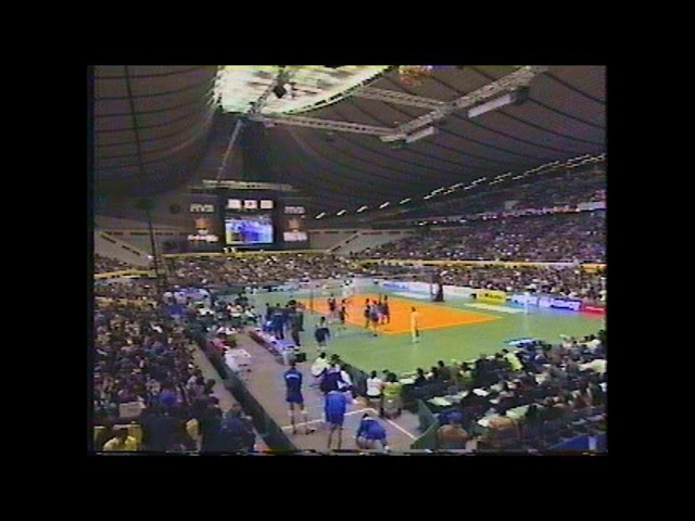 超激レア DalPonte 東京ヴェルディ Vリーグ バレーボール 国体 超激レア DalPonte 東京ヴェルディ Vリーグ バレーボール 国体