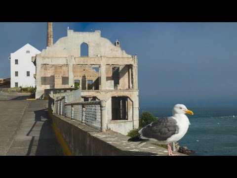 Sustainability on Alcatraz
