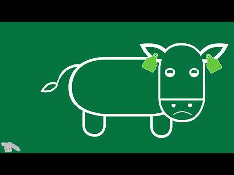 Dairy Farming