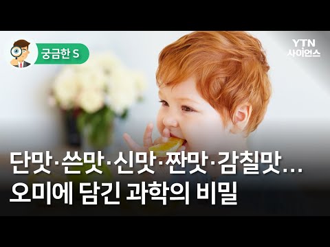 24시간동안 신맛 VS 쓴맛!! 누가 더 오래 버틸 수 있을까?!?!