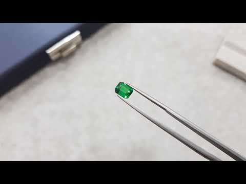 Octagon cut tsavorite garnet from Kenya 1.66 ct Video  № 2