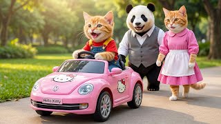 Download Lagu 🐱♻️ From Kindness to Reward: Mama Cat \u0026 Kitten Return Panda’s Lost Wallet 💖🚗✨ MP3