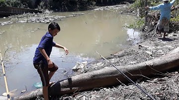 CÂU CÁ RÔ PHI||GIẬT SƯỚNG TAY XEM LÀ GHIỀN||MINH ĐỨC MT