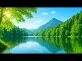 Relaxing Music for Stress & Anxiety Relief Calm Nature Ambient Sounds for Deep Focus
