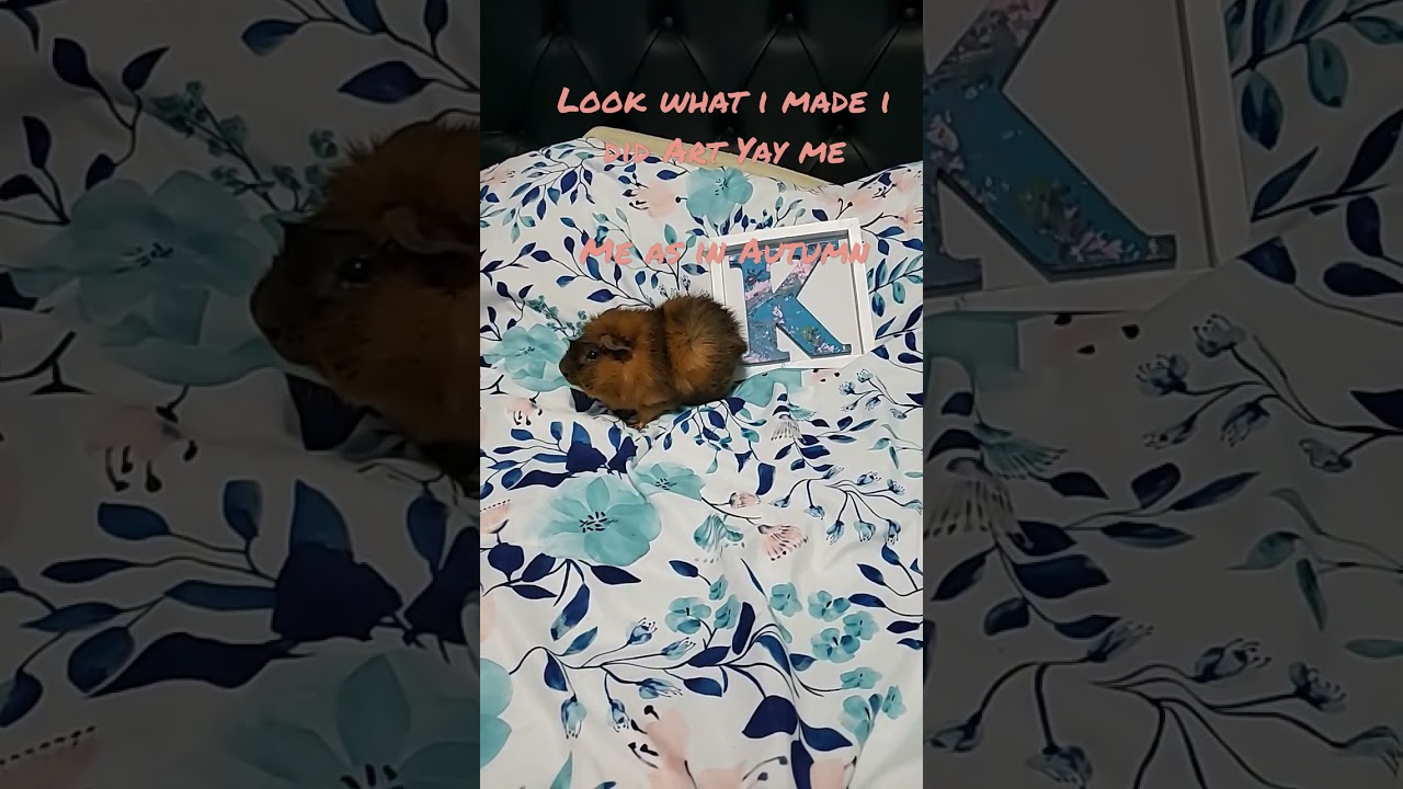 I made Art# Fat child