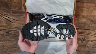 Unboxing The Nike Tn Air Max Plus Tuned 1 Shattered Ice Do6384-400