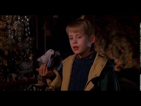 HOME ALONE 2 AND PIGEON LADY KEEP YOUR HEART OPEN