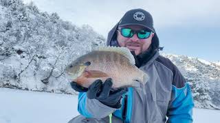 Idaho Monster Bluegill Ice Fishing