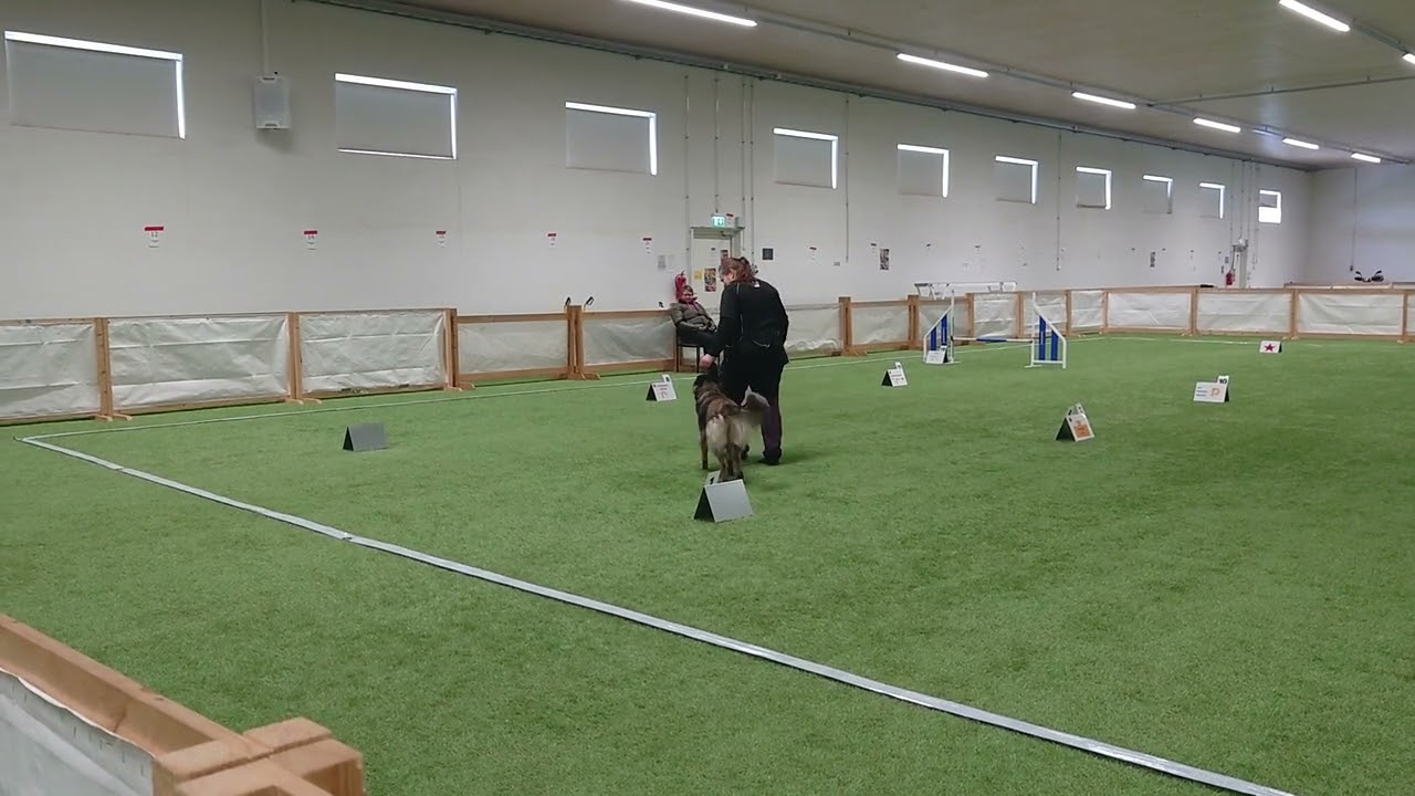 Rally-toko AVO 11.3.2023