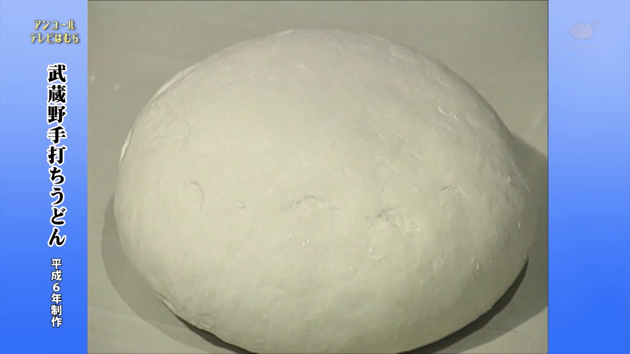 武蔵野手打ちうどん ～うどん博士 加藤有次～